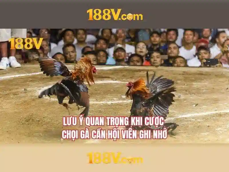 💎kèo nhà cái vòng loại châu á💎 💎kèo nhà cái vòng loại châu á💎