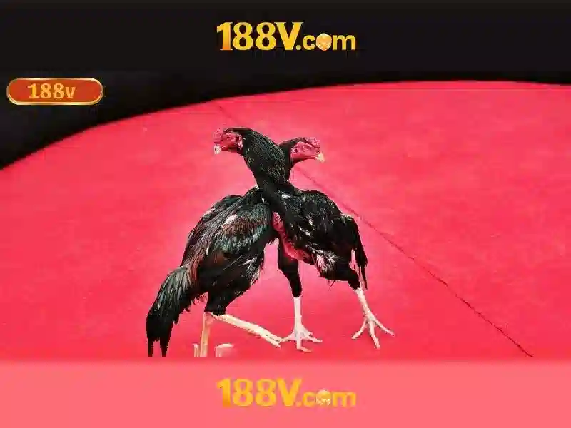 💎cả cuộc đời này anh không thể tha thứ💎 💎cả cuộc đời này anh không thể tha thứ💎