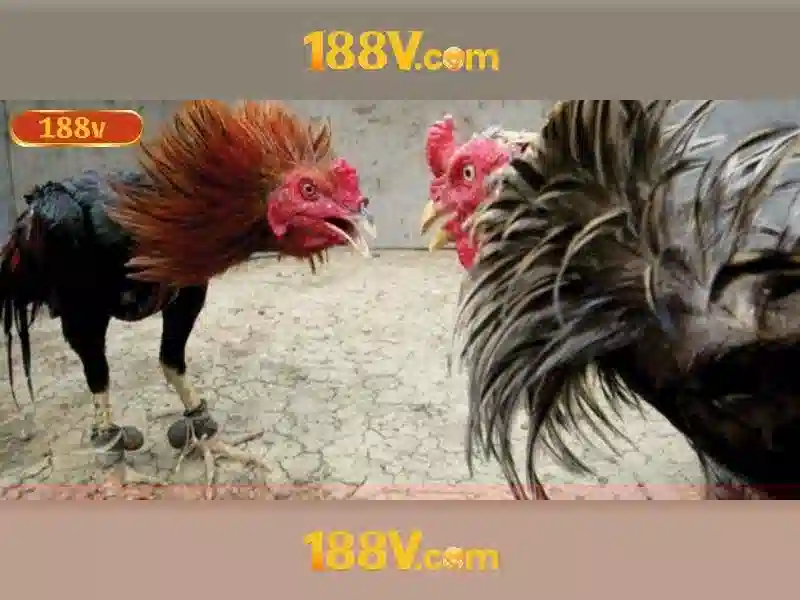 💎togel slot 888💎 - lucky 888 slot - rr slot 888 💎togel slot 888💎 - lucky 888 slot - rr slot 888