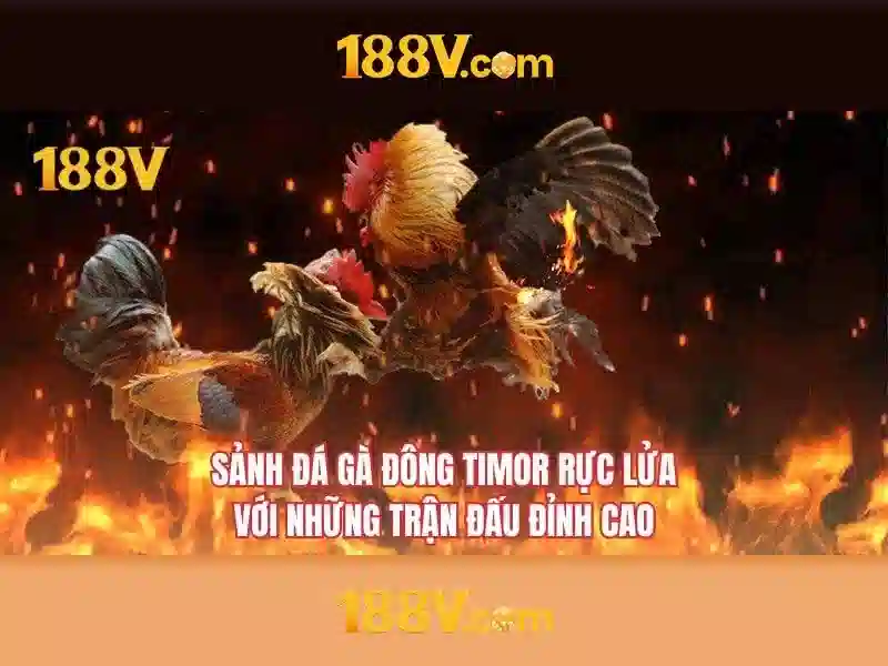 💎tài xỉu slot💎 💎tài xỉu slot💎
