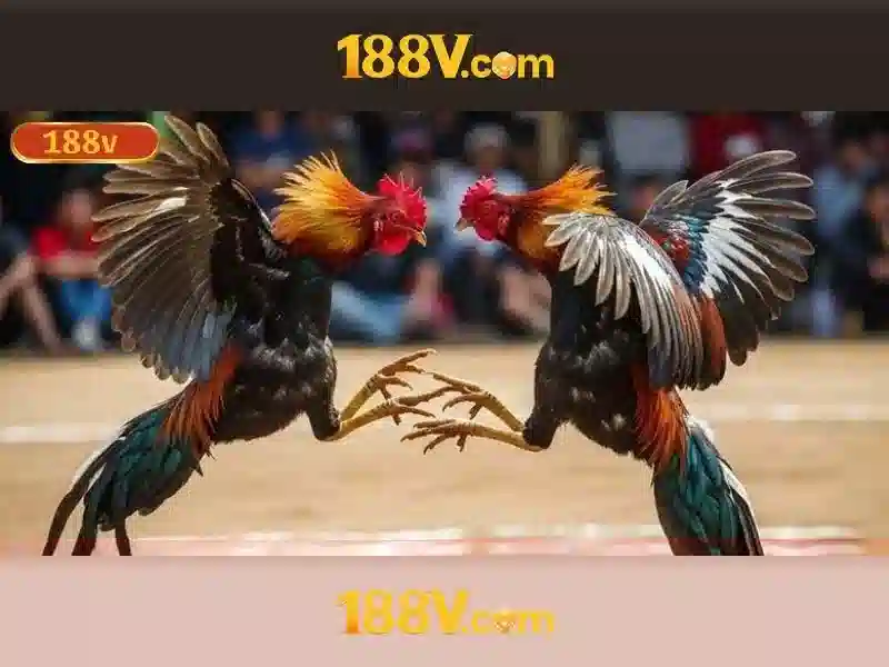 💎carrera slot cars💎 💎carrera slot cars💎