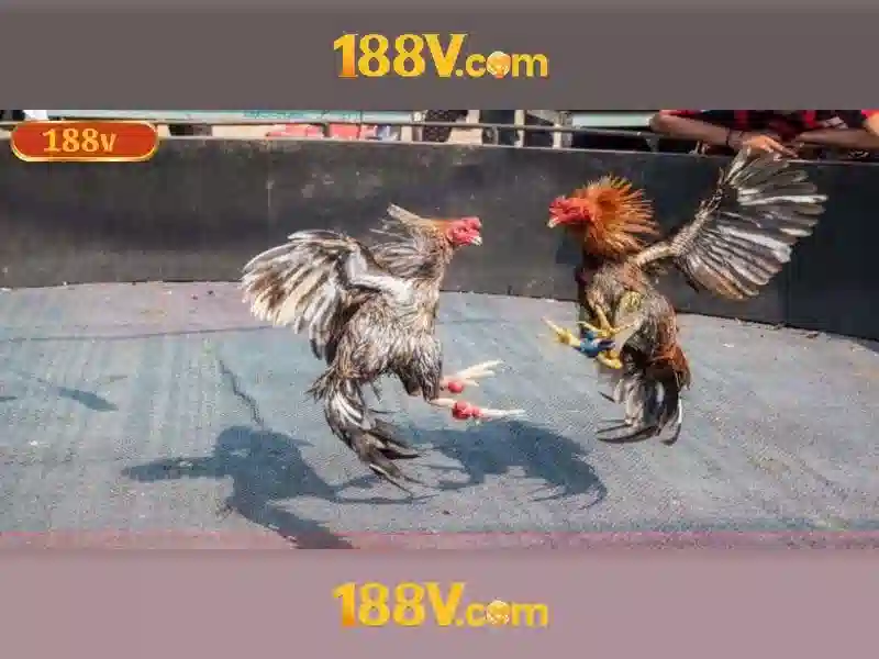 💎viet nam vs malaysia kèo nhà cái💎 💎viet nam vs malaysia kèo nhà cái💎