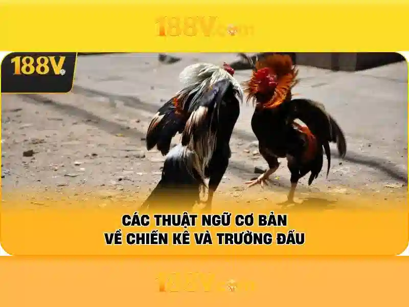 💎đất nam sông cái nha trang💎 💎đất nam sông cái nha trang💎