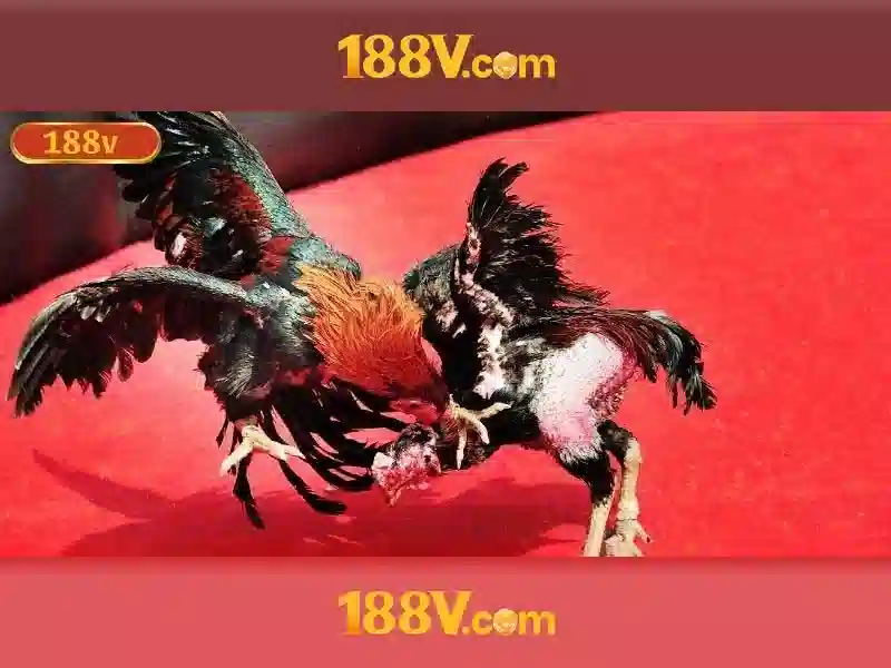 💎nha_cai_uy_tin dev💎 💎nha_cai_uy_tin dev💎