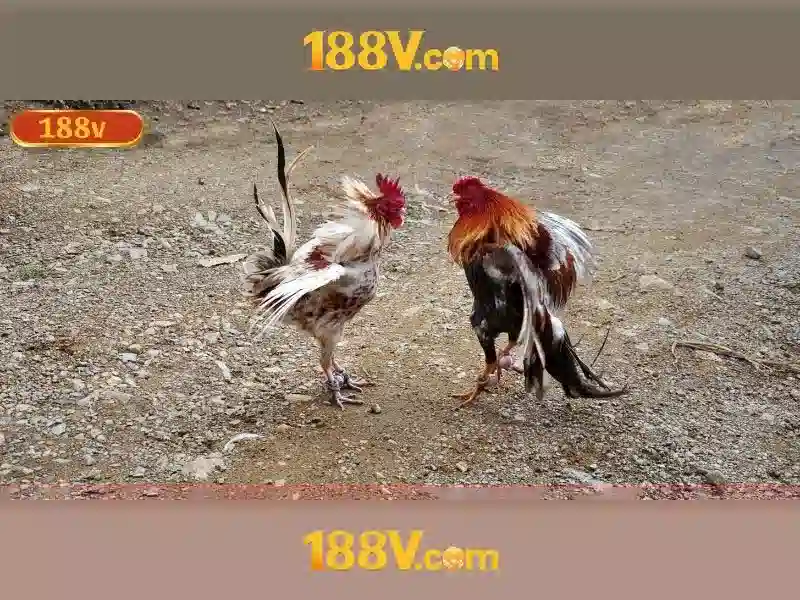 💎royal spins free slots💎 💎royal spins free slots💎