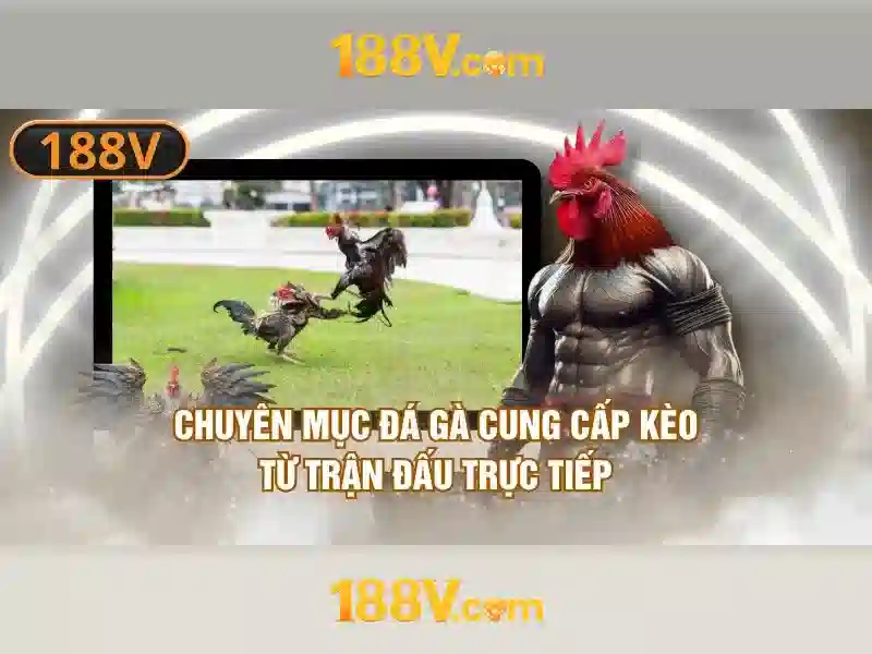 💎ram slot💎 💎ram slot💎