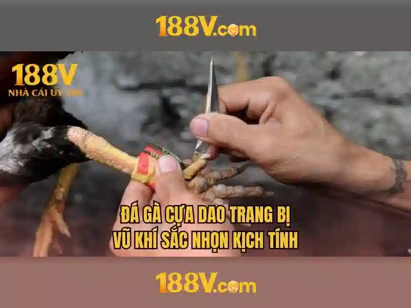 💎fun88 link đăng nhập vào nhà cái💎 💎fun88 link đăng nhập vào nhà cái💎