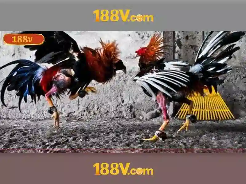 💎888 slot tây ninh💎 💎888 slot tây ninh💎