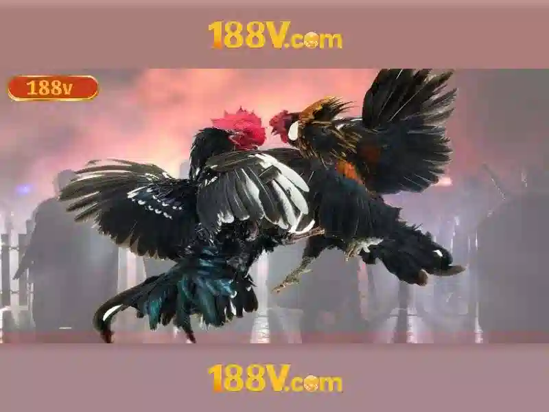 💎cai tao nha dep💎 💎cai tao nha dep💎