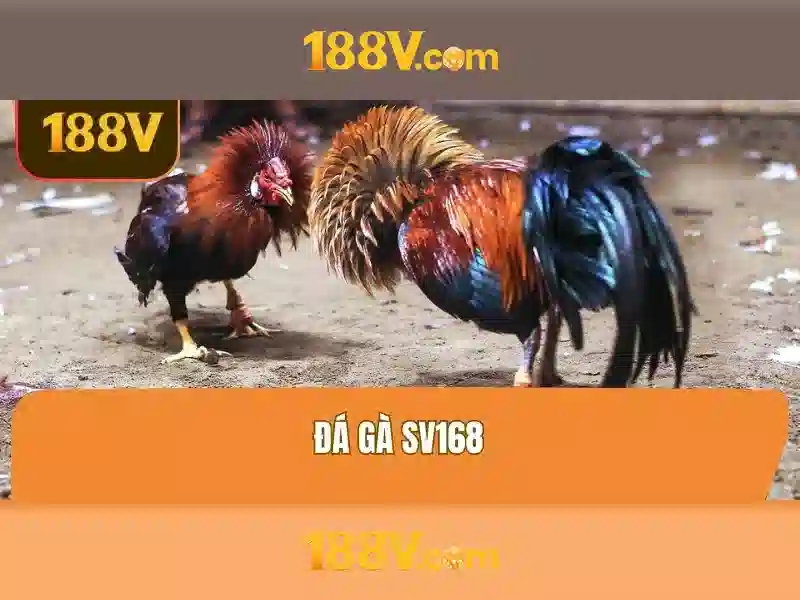 💎888 slot mobi💎 💎888 slot mobi💎