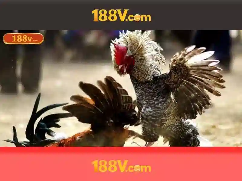 💎queen slot 999💎 💎queen slot 999💎