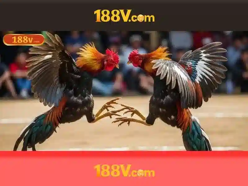💎888 slot club chính thức💎 💎888 slot club chính thức💎
