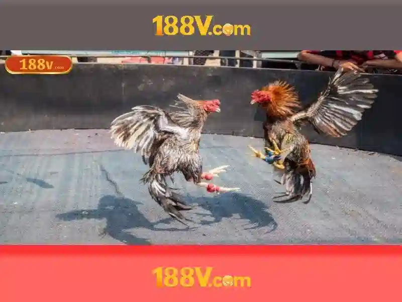 💎hb88 ace login💎 💎hb88 ace login💎