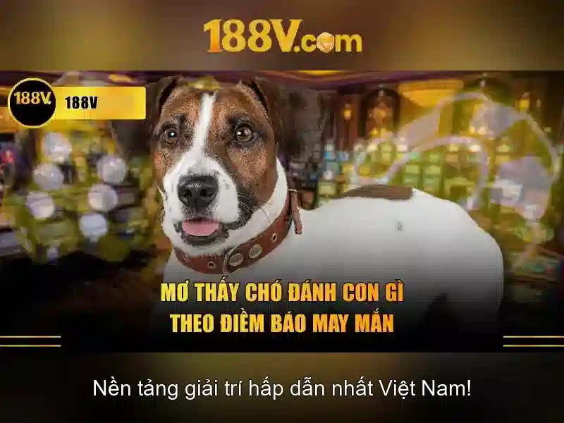 💎xn88 city💎 💎xn88 city💎