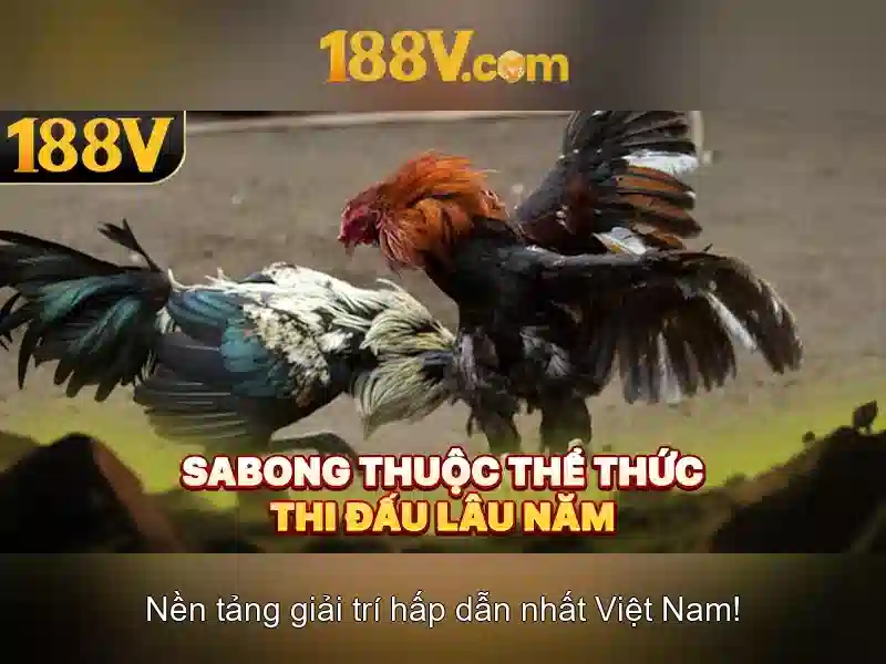 💎888 slot fish casino login💎 💎888 slot fish casino login💎