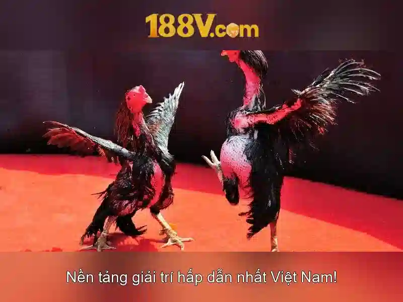 💎rongbachkim247💎 💎rongbachkim247💎