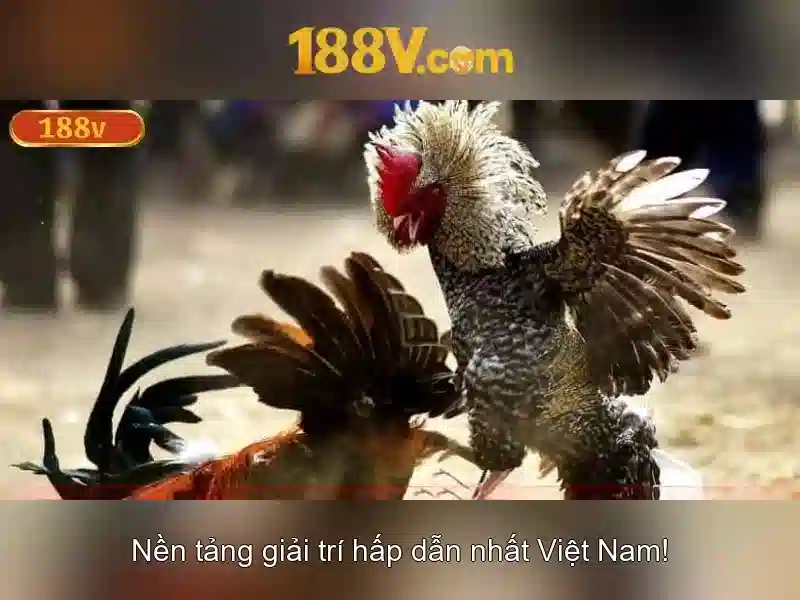 💎red88 trang chủ sòng bạc💎 - red88 trang chủ sòng bạc - red88 nhà cái uy tín 💎red88 trang chủ sòng bạc💎 - red88 trang chủ sòng bạc - red88 nhà cái uy tín