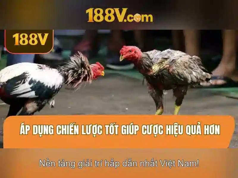 💎sun bingo slots bonus💎 💎sun bingo slots bonus💎