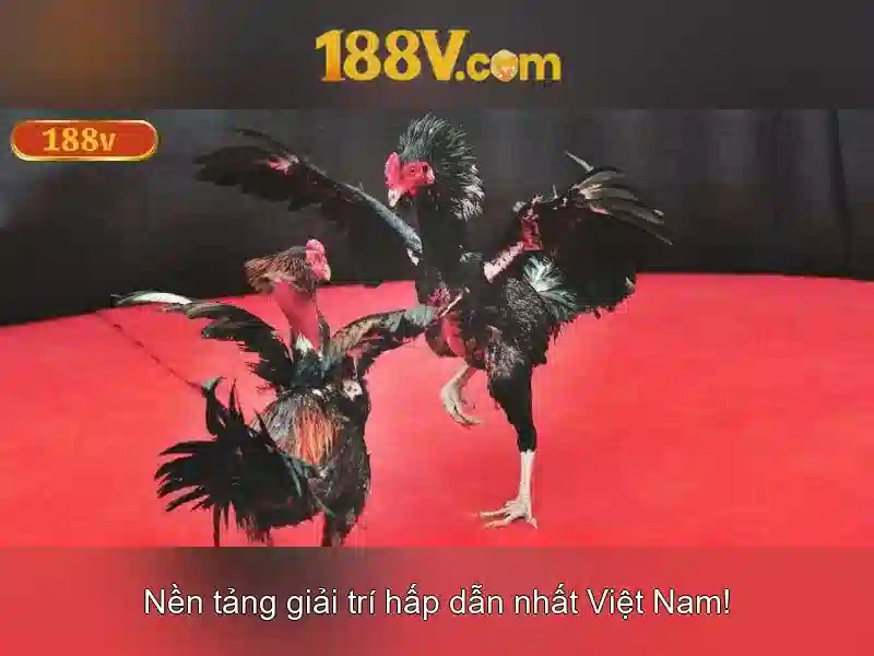 💎bán nhà tp lào cai💎 💎bán nhà tp lào cai💎