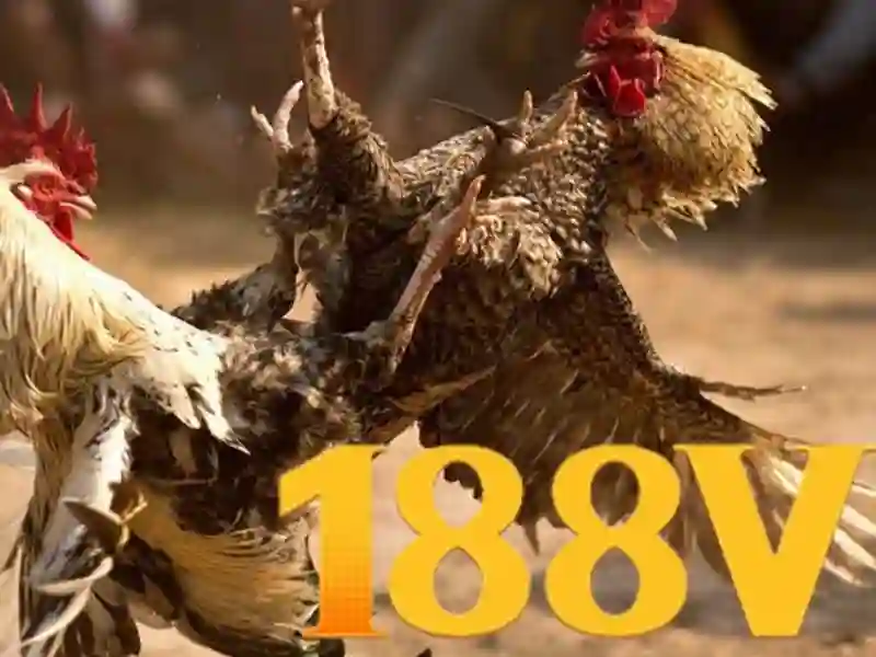 💎kèo nhà cái vn hôm nay💎 💎kèo nhà cái vn hôm nay💎